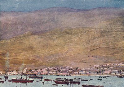 Arica, 1916 - A. S. Forrest