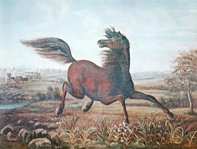 Le hennissement d