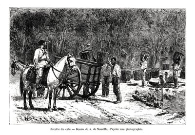 Récolte du café, Brésil, 19ème siècle - A. de Neuville