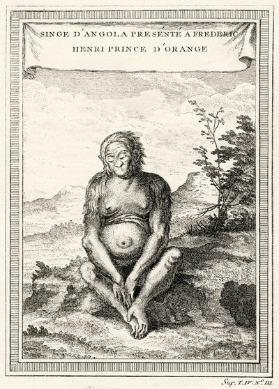 Illustration de l