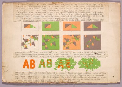 Diagramm und Kupferkopfschlange, Studienmappe für das Buch Concealing Coloration in the Animal Kingdom - Abbott Handerson Thayer