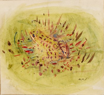 Grenouille - Abbott Handerson Thayer