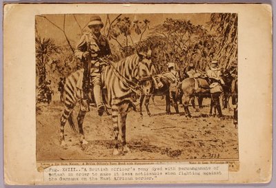 Cheval et croiseur camouflés, dossier d