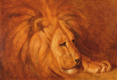 Lion au repos - Abbott Handerson Thayer