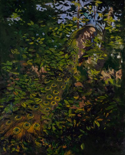 Paon dans les bois, étude pour le livre Concealing Coloration in the Animal Kingdom - Abbott Handerson Thayer