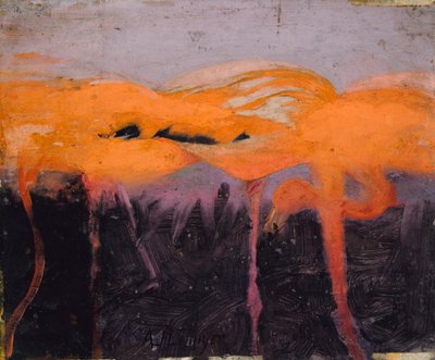 Flamants rouges, étude pour le livre Concealing Coloration in the Animal Kingdom, vers 1905-1909 - Abbott Handerson Thayer