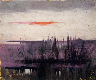 Le ciel simulé par des flamants blancs étude pour livre..., dans le Royaume Animal, vers 1905-1909 - Abbott Handerson Thayer