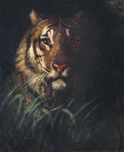 Tête de tigre, ca. 1874 - Abbott Handerson Thayer