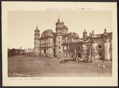 [Cathédrale de Guadalupe] - Abel Briquet