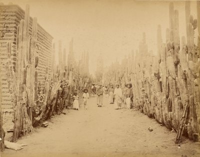 Mexique. Rue du village de San Juan, État du Mexique. - Abel Briquet