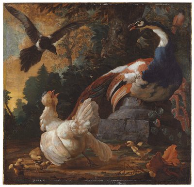Un paon, des volailles et une pie dans un paysage, 1720 - Abraham Bisschop