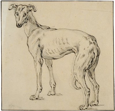 Greyhound - Abraham Bloemaert