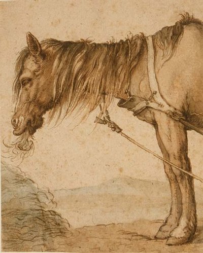 Un cheval mangeant du foin, vers 1600-10 - Abraham Bloemaert