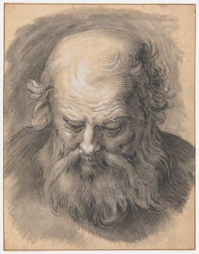 Étude de la tête d