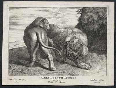 Divers lions - Abraham Blooteling