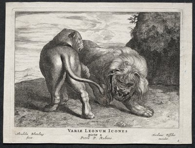 Divers lions - Abraham Blooteling