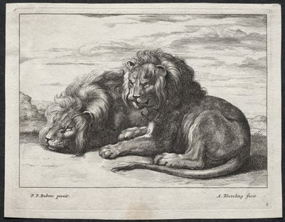 Divers lions - Abraham Blooteling