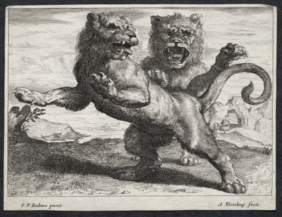 Divers lions - Abraham Blooteling