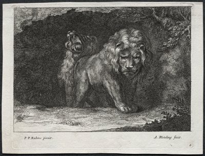 Divers lions - Abraham Blooteling