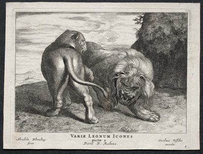 Divers lions - Abraham Blooteling