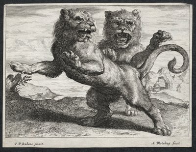 Divers Lions - Abraham Blooteling