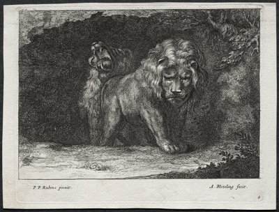 Divers lions - Abraham Blooteling