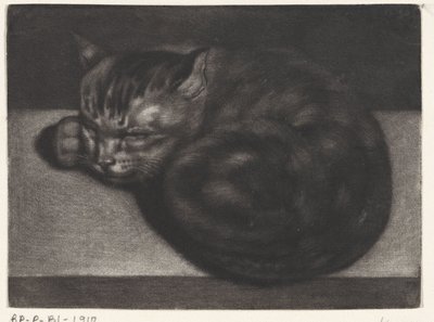 Chat endormi - Abraham Bloteling