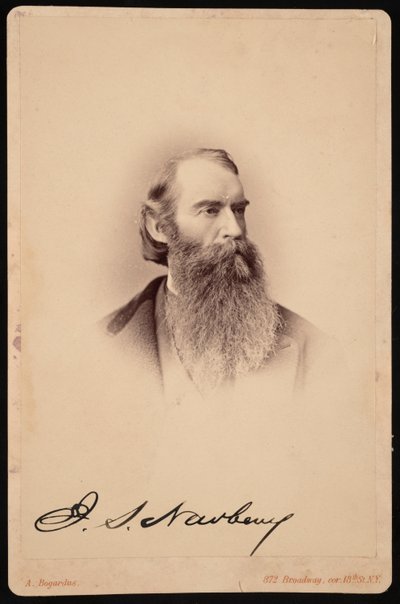 Portrait de John Strong Newberry, entre 1876 et 1887 - Abraham Bogardus