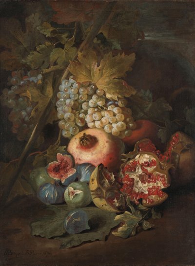 Raisins, grenades et figues dans un paysage - Abraham Brueghel