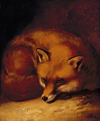 Un renard - Abraham Cooper