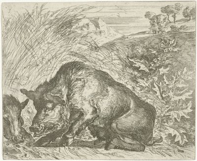 Sanglier - Abraham Danielsz. Hondius