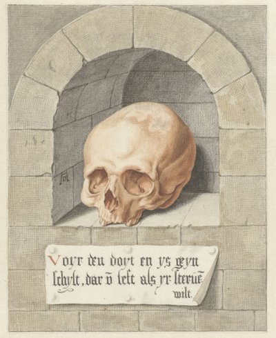 Crâne dans une niche - Abraham Delfos