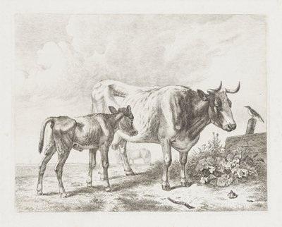 Vache et veau dans un pré - Abraham Hendrik Winter