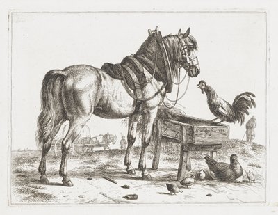 Cheval près d