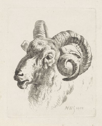 Tête de bélier vers la gauche - Abraham Hendrik Winter