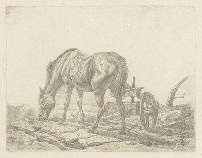 Cheval dételé près d