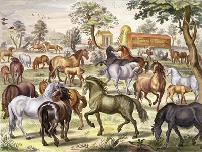 Chevaux en liberté, planche 11 de 