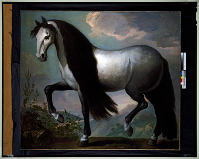 Cheval dans un paysage - Abraham Jansz. van Diepenbeeck