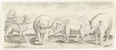 Gazelle, éléphant et rhinocéros - Abraham de Bruyn (possibly)