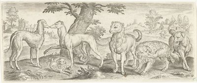 Chiens - Abraham de Bruyn (possibly)