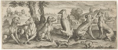 Chiens - Abraham de Bruyn (possibly)