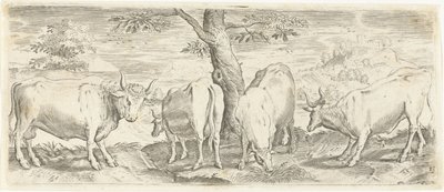 Vaches, un taureau et un bœuf (Dieren) - Abraham de Bruyn (possibly)