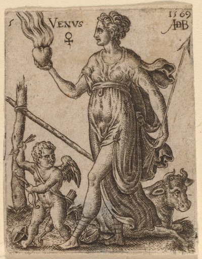 Vénus - Abraham de Bruyn