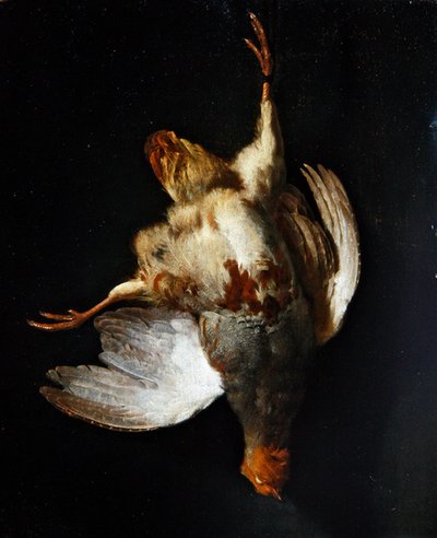 Nature morte avec une perdrix suspendue à un clou - Abraham van Calraet