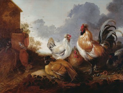 Volaille dans une basse-cour - Abraham van Calraet