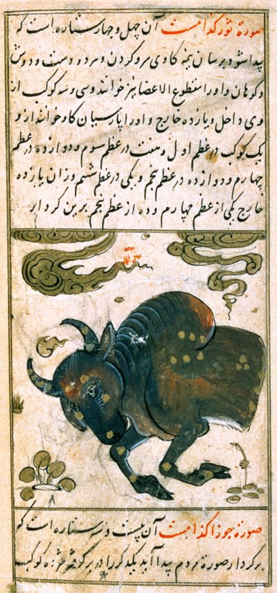 Constellations du zodiaque : Taureau, le taureau, de Talim dar marifat i taqvuim, 1498 (903 Hijra) - Abu Jafar al Tabari
