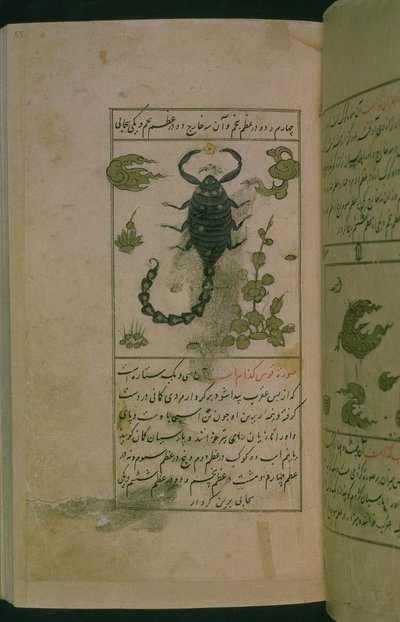 Constellations du zodiaque : Scorpion, le scorpion, de Talim dar marifat i taqvuim, 1498 (903 Hijra) - Abu Jafar al Tabari
