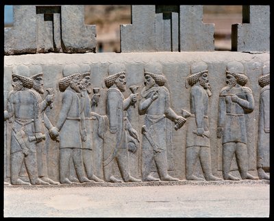 Vue des reliefs des escaliers nord - Achaemenid