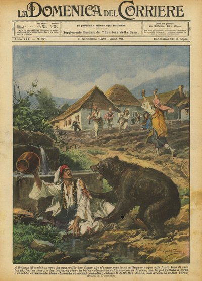 À Bokain (Bosnie), un ours a attaqué deux femmes qui étaient allées puiser de l