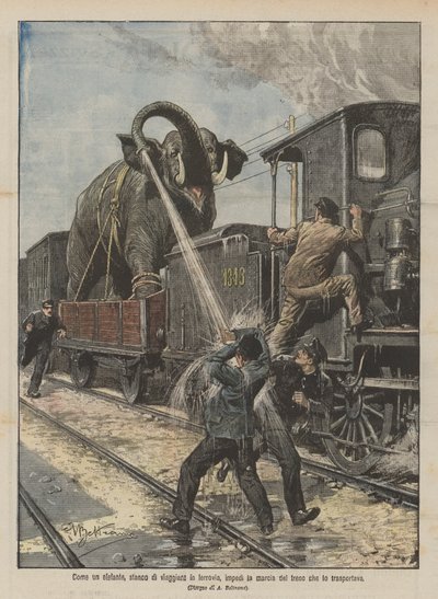Comme un éléphant, fatigué de voyager en train, a empêché la marche du train qui le transportait - Achille Beltrame